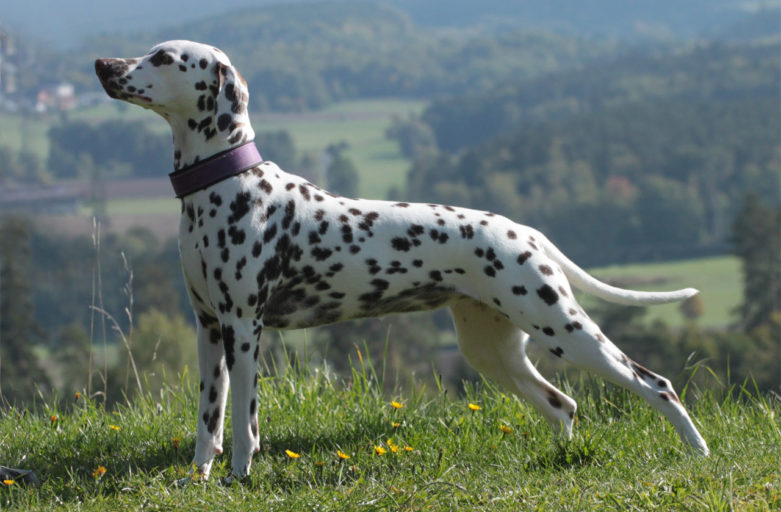 Viva’s Ergebnisse sind da!